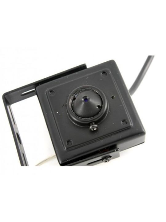 2.4G Wireless Camera Webcam Kit (Black)